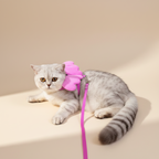 Coleira Peitoral Com Guia e Asas de Anjo Ajustável Para Gatos LR-0304