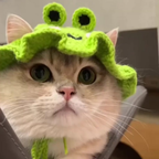 Chapéu De Cachorro Fofo De Tricotar Engraçado Vestido De Gato