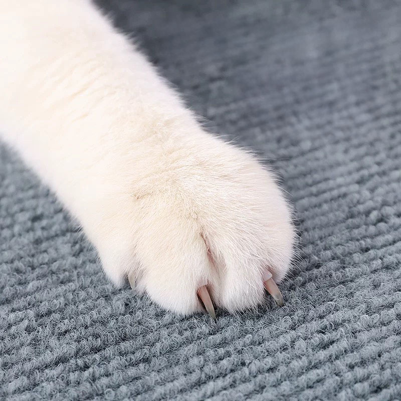 Tapete Arranhador Para Gatos Auto-Adesivo Proteçao Para Sofa