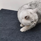 Tapete Arranhador Para Gatos Auto-Adesivo Proteçao Para Sofa