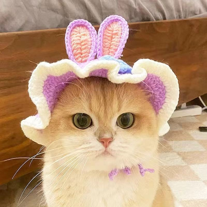 Chapéu De Cachorro Fofo De Tricotar Engraçado Vestido De Gato