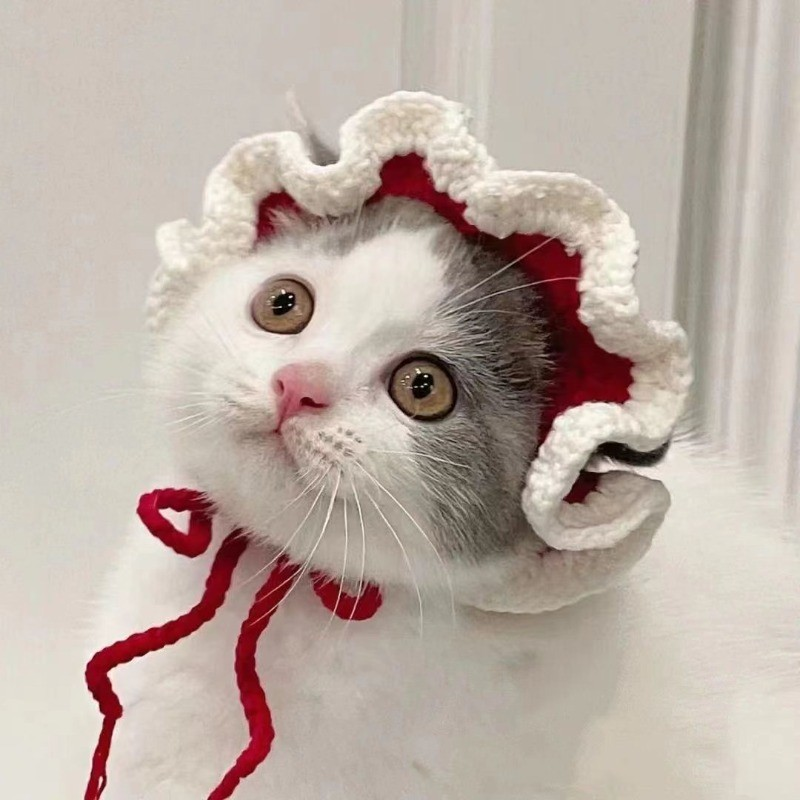 Chapéu De Cachorro Fofo De Tricotar Engraçado Vestido De Gato